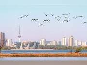 30+ Black-Winged Stilts Arrive at Yunlong Lake in Xuzhou