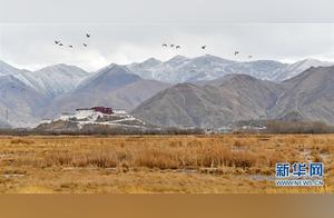 The Primordial Spring of 'Lhasa's Lung'