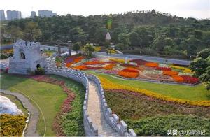 Holding Back for So Long, Relaxing My Suppressed Feelings by Visiting the Dreamy Flower Shore in Songshan Lake