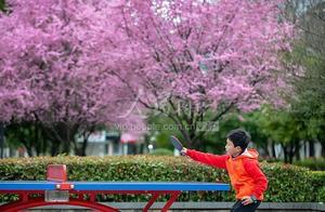 Chunsan, Zhejiang: Beautiful Spring, Happy Sports