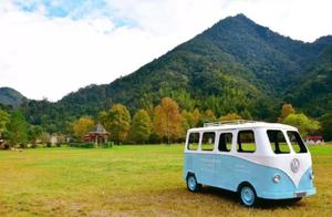 This Lesser-Known Forest Park in Guangdong: The Most Comfortable Forest Oxygen Bar, Encountering Green Meadows and Fairy Tales