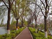Taiyuan to Promote Construction of Fen River Fitness and Culture Walking and Cycling Pathway! More Places for Fitness and Leisure Will Be Available in the Future!