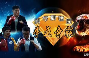 ‘Boxing Champion’ Battle at the Broadcast Studio! ‘Unwilling to Be Lonely’ Lions Also ‘Rush’ into the Live Scene!