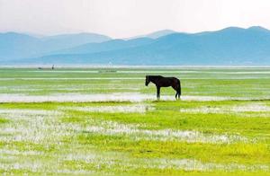 Yunnan Province's First 'Wetland'-Named Nature Reserve: A Cradle of Life