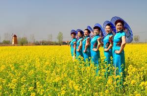 Cao County Yellow River Ancient Canal Wetland Park: Golden Fields of Oilseed Rape Flowers, Elegant Flag Dress Fashion Show