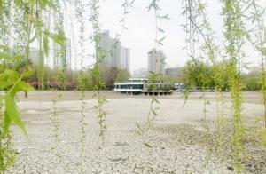 Zibo People's Park, Lilin Park, and Botanical Garden to 'Enhance Their Beauty' Starting in April