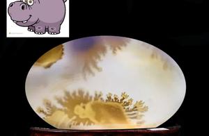 A Natural Hippopotamus Appears in the Jade Stone, Extremely Cute
