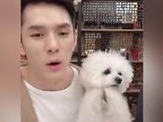 Beauty Scheme | Even Dogs in Li Jiaqi's Circle Are Collaborating to Sell Goods