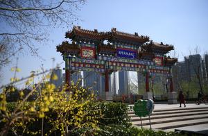 Cloud Tour Tongzhou: 360-Degree Panorama Tour of the Grand Canal Park, Spring Blooms Uncontainable