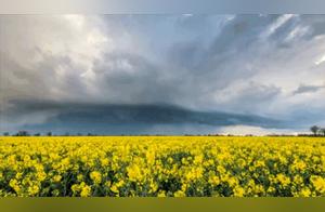 Experience Rural Wildness in Luya, Shaanan!