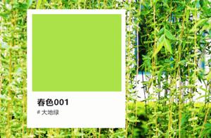 Weihai Residents, Take Note of This Spring Color!