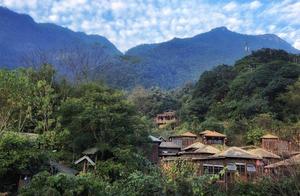 Yao Mountain Oxygen Medicinal Baths: Cultivating Health in Nature, Amidst the Canopy, Accompanied by Wind and Birdsong