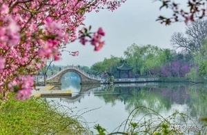Xing Guizhen: Poetry/The Great Egrets Returning North