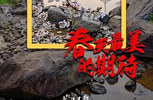 12 Wuhan Landmarks Tell You: This Is What Spring Most Beautifully Expects