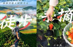 4 Ways & 72 Products: ‘Zhu’ Tour Jilin – Hiking, Picking, Birdwatching, and City Tours