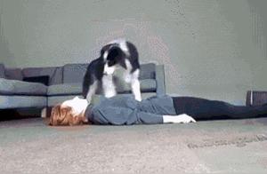 Have you ever tried to take your dog's place in your heart? Don't test it lightly, or you might fall into the abyss.