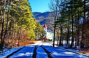 9.9 Enjoy the Natural Forest Oxygen Bar – Baotianman, Green is the Most Beautiful Color.