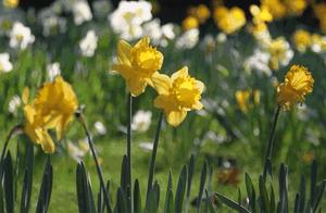 Hello March! Hello Spring!
