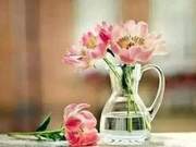 Knowing Yourself, Eternal Love