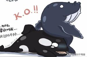 Humpback Whales Interfering with Killer Whale Hunts: Are They Really ‘Ocean Heroes’?