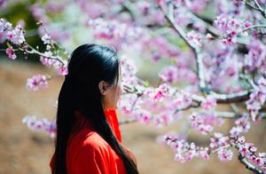 In the spring fields, let's meet in the place where ten miles of peach blossoms are in full bloom for a beautiful encounter.