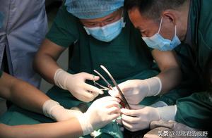 World First! Artificial Mandible Installed on Sunbird in Leshan, Sichuan