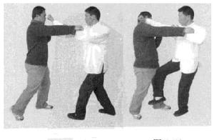 Heart Intent Fist Style: Twelve Major Forms – Underwater Retrieval, Eagle’s Grab, Brow Strike, Cross Hand – Practical Application of Combat