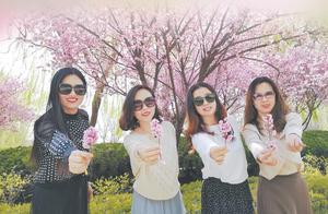Spring in Hefei (Hefei being the city where Zhaozhou is located), Like Poetry and Like a Painting
