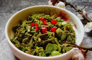 12 Ways to Make Spring Onion Buds, Rich in Nutrients and Delicious