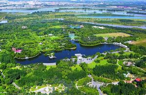 Ten Top Birdwatching Sites in Longjiang: A 'Bird Paradise' Experience