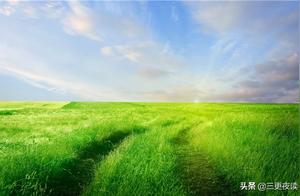 Mindfulness (or Mental Strength) Leads to Maturity, and Broad-mindedness Comes from a Wide Heart