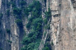 The Most Unusual Attraction in Changzhi, Shanxi: A Road Hanging on a Cliff