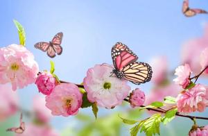 Spending Spring with Family and Seniors: This is the Correct Way to Open Spring!
