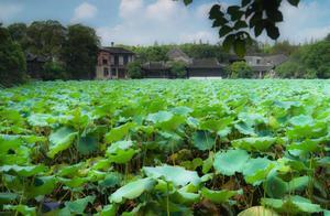 Most Beautiful Gardens in Jiangnan, Former Private Estate of the First Billionaire, Now the Best Choice for '' (Spring Outing)
