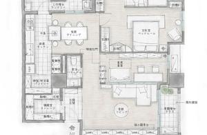 A Cat-Friendly Home (Not Minimalist)