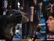 Cutest 'Meteorological Expert': Celebrity Groundhog Predicts Spring is Coming Soon