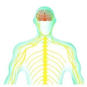 饮酒|只知道喝酒伤肝？说明你涉世未深……
