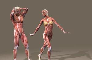 Did You Lose Muscle While Losing Weight? Don't Panic, These Methods Can Maximize Muscle Retention