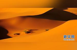 Hearing About Inner Mongolia ③: The Great Desert, Like Snow