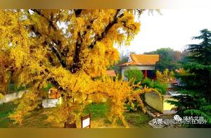 Beautiful Shuzhou - Old Sea Temple Tourism Resort, Waiting for You! #ShuzhouHeadlines#