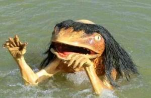 What Species is the Water Monkey? Does It Really Exist? Let's Learn Some Knowledge!