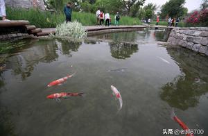 A Wetland Park at Beihai Gate
