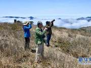 Wuyishan, Fujian: Protecting ‘Bird’s Paradise’