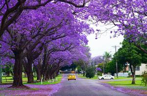 This Australian City is Known for ‘Premium’ Wines and Public BBQ Grills