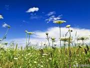 Live peacefully in time, age gracefully in the years; life should be followed by nature, peace of mind, happiness.