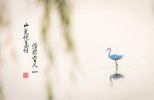 Essays and Snippets: Appreciate What You Have, Seek Not to Lose Its Significance