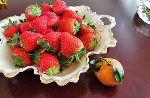 How to Buy Authentic 'Dandong 99' Strawberries
