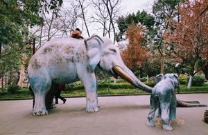 North Sichuan Phoenix Mountain Park: A Pristine Paradise, Untouched by Pollution – Come and See!