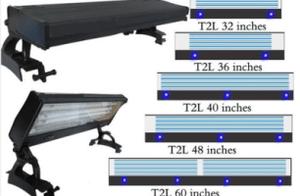 Newbie Setup Tank: 7 Essential Equipment for Fish Keeping