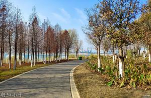 Coastal City – Nanchang, Leading You to Discover Nanchang’s Other Side